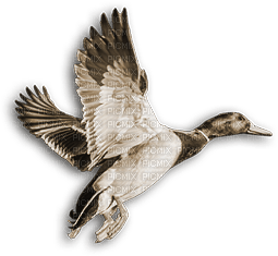 soave deco autumn bird duck vintage sepia - PNG gratuit