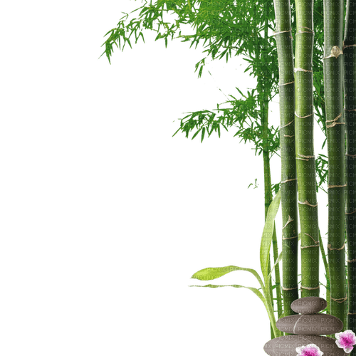 bamboo oriental deco sunshine3 - png ฟรี