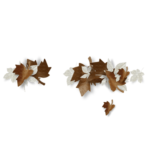 Feuille - zadarmo png
