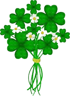 st. Patrick's Day - darmowe png
