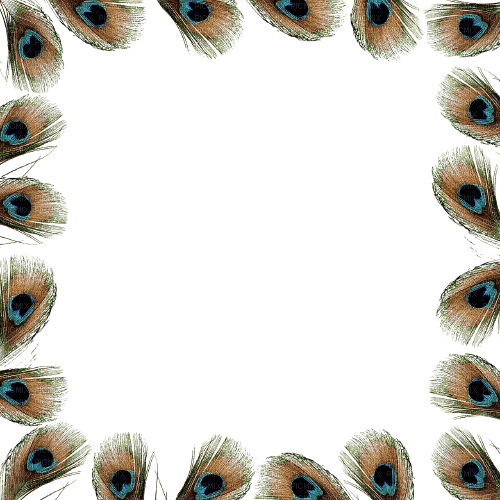 feather peacock frame - gratis png