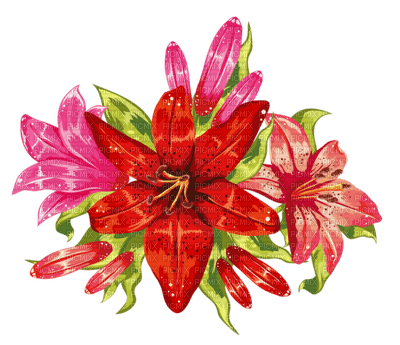 ROXY FLOWERS - Free PNG