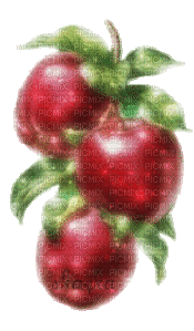 Яблоки на веточке - Gratis geanimeerde GIF