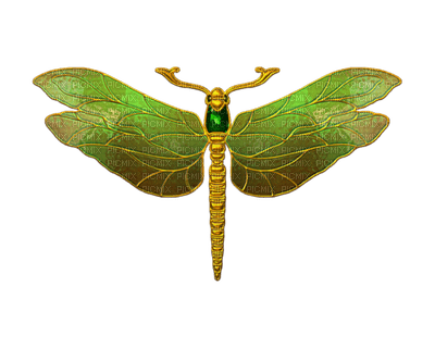 minou-dragonfly-trollslända - 免费PNG