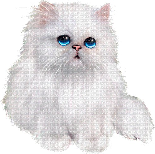 white cat by nataliplus - Ingyenes animált GIF