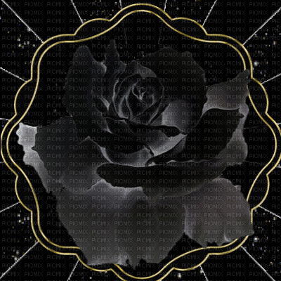 black rose - Animovaný GIF zadarmo