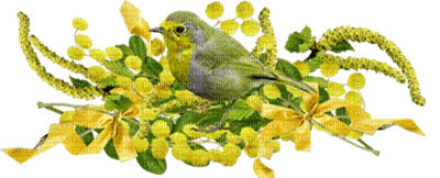 loly33 oiseaux mimosa - png ฟรี