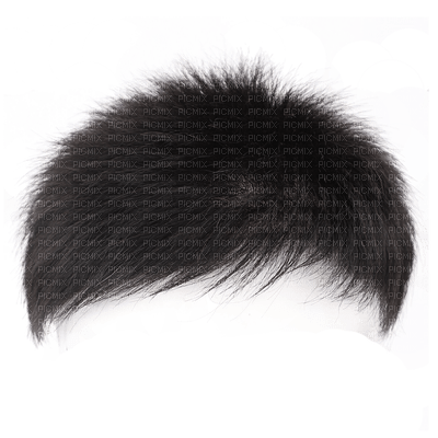 hair, wig bp - png grátis
