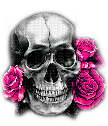 Skull.Roses.Black.White.Pink - By KittyKatLuv65 - png gratuito