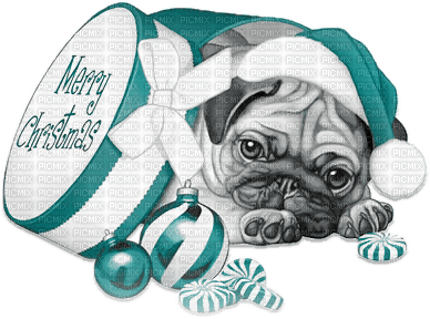 soave animals dog christmas winter black white - 免费PNG