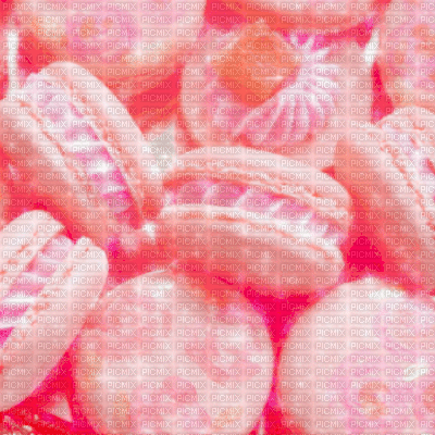 Pink Macarons Background - Nemokamas animacinis gif