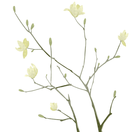 Branch green flowers - png gratuito