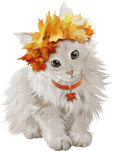 loly33  chat automne - gratis png
