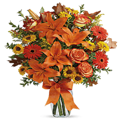Autumn Bouquet - darmowe png