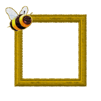 Small Yellow Frame - Free animated GIF