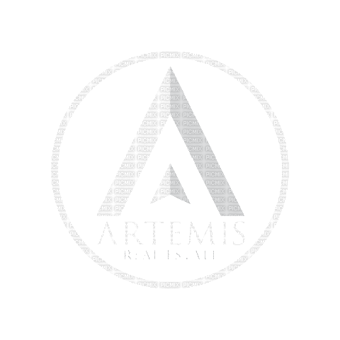 Artemis Real Estate Group - GIF animé gratuit