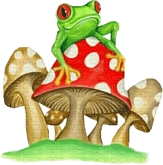 Y.A.M._Frog, mushrooms, fantasy - gratis png