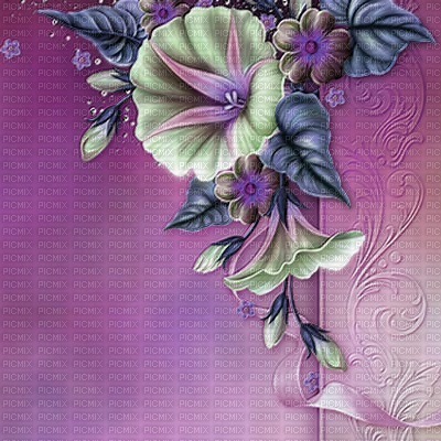 bg-flower-purple - 無料png