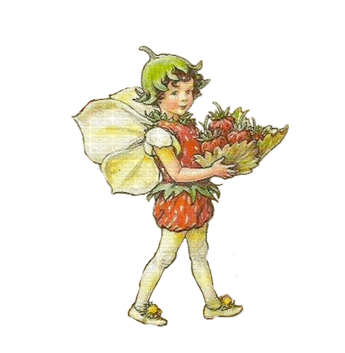 Fairy Strawberry - kostenlos png