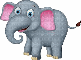 elefante - darmowe png