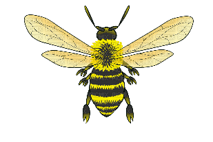 Süsse Biene - 免费动画 GIF