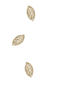 leaves - ilmainen png
