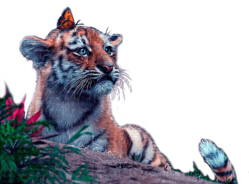 sad tiger by nataliplus - darmowe png