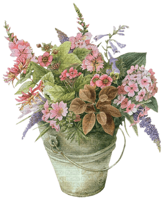 Kaz_Creations Deco Flowers Flower Colours Vase - 無料png