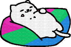 Polysexual Tubbs the cat - kostenlos png