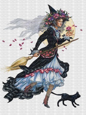 Witch on Broom & Black Cat - png ฟรี
