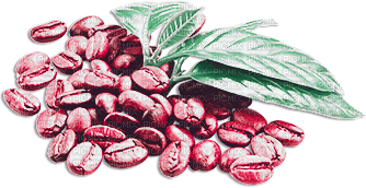 soave deco coffee pink green - бесплатно png