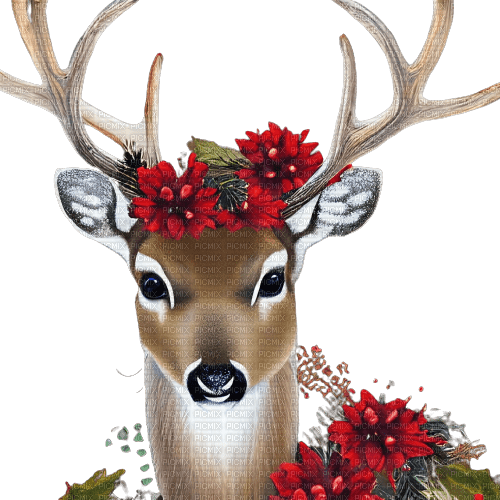 kikkapink winter deer animal - 無料png