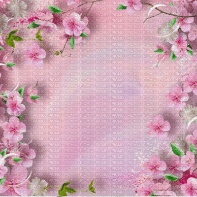 pink flower bg fond pink fleur - Gratis animeret GIF