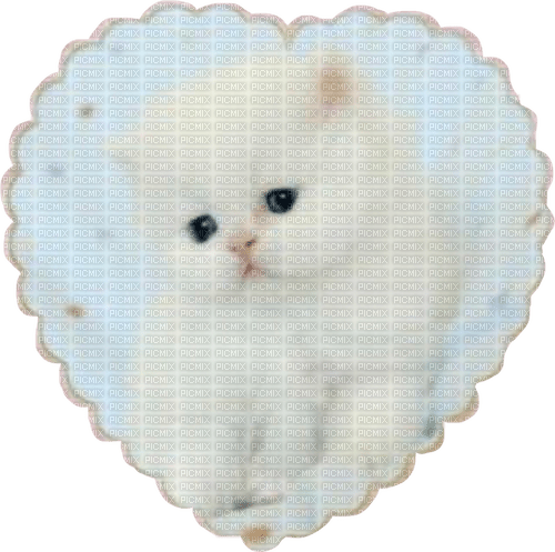 white kitten heart - ilmainen png