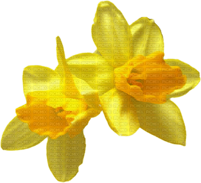 Kaz_Creations Deco Flowers Flower  Colours - nemokama png