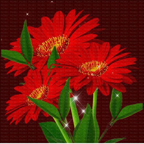 background hintergrund fondo flowers milla1959 - GIF เคลื่อนไหวฟรี