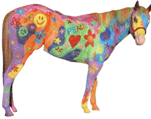 colorful horse - PNG gratuit