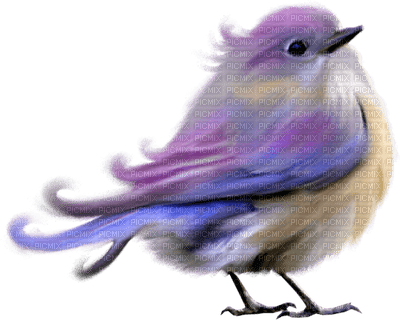 birds anastasia - nemokama png
