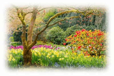 spring background - png grátis