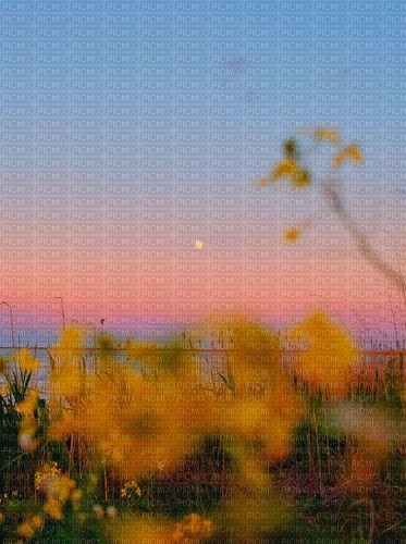 blurry flowers background - 免费PNG