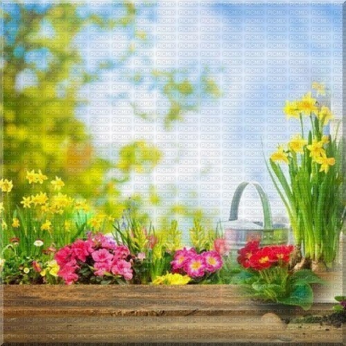 Frühling printemps spring - gratis png