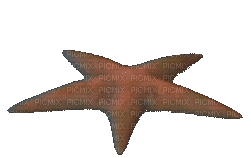 funky starfish - GIF animado gratis