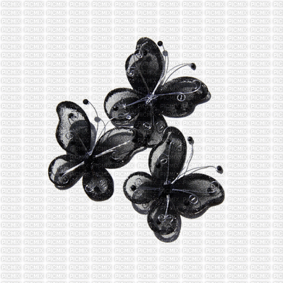 butterflies - Gratis animeret GIF