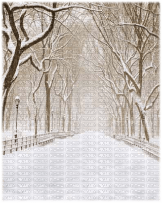 winter landscape - kostenlos png