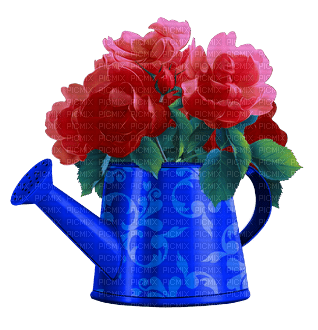 watering can Bb2 - ilmainen png
