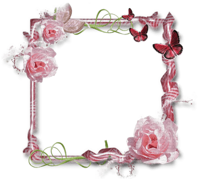 cadre fleurs - zdarma png
