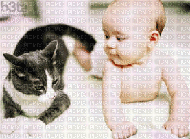 Kaz_Creations Animated Funny Cat and Baby - 免费动画 GIF