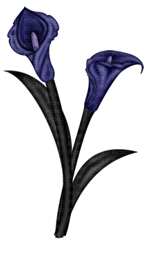 Kaz_Creations Purple Deco Scrap Flowers  Colours - безплатен png