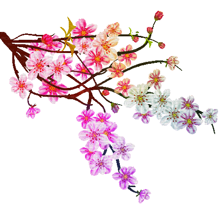 soave deco branch tree flowers spring oriental - Animovaný GIF zadarmo