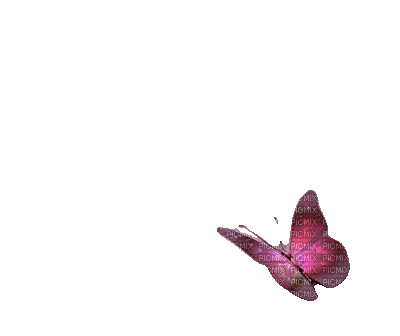 Butterfly Pink - Bogusia - Zdarma animovaný GIF
